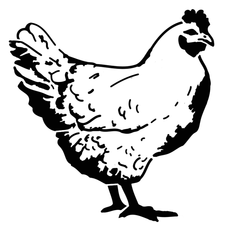 Black and white chicken clipart