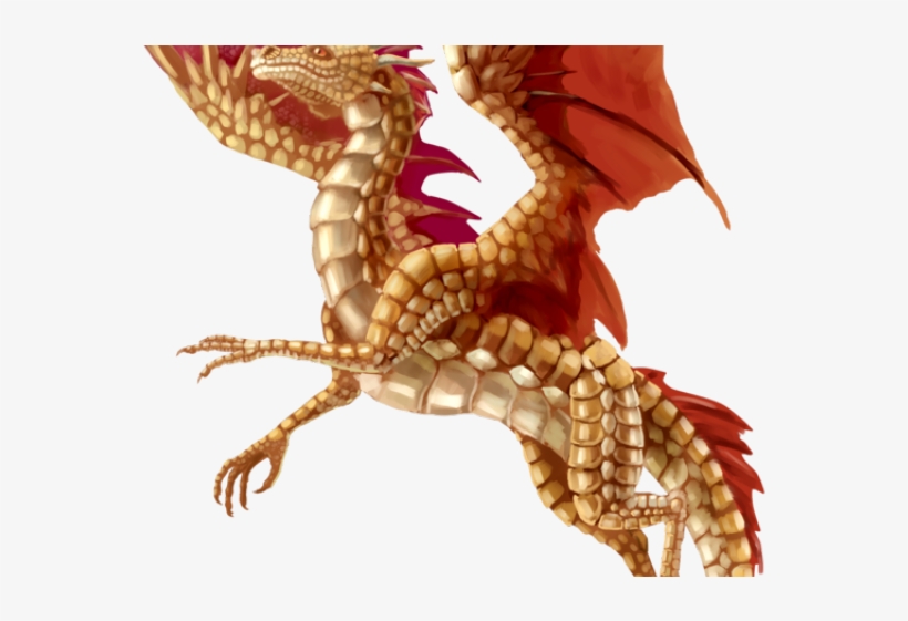 Chinese Dragon Clipart Realistic