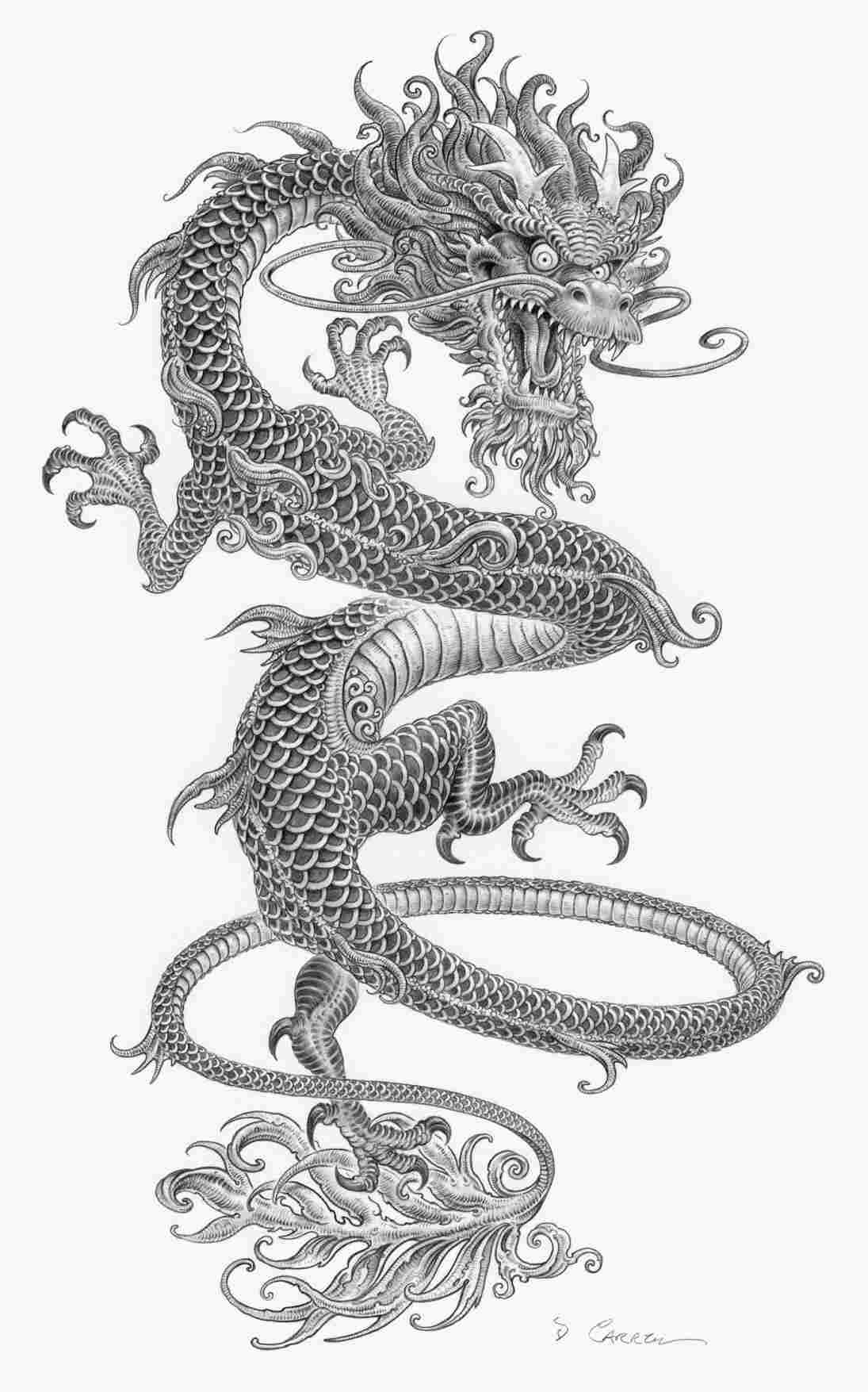 Chinese Dragon Pencil Drawings at PaintingValley