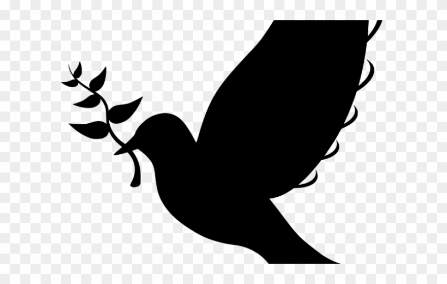 Peace Dove Clipart Twig