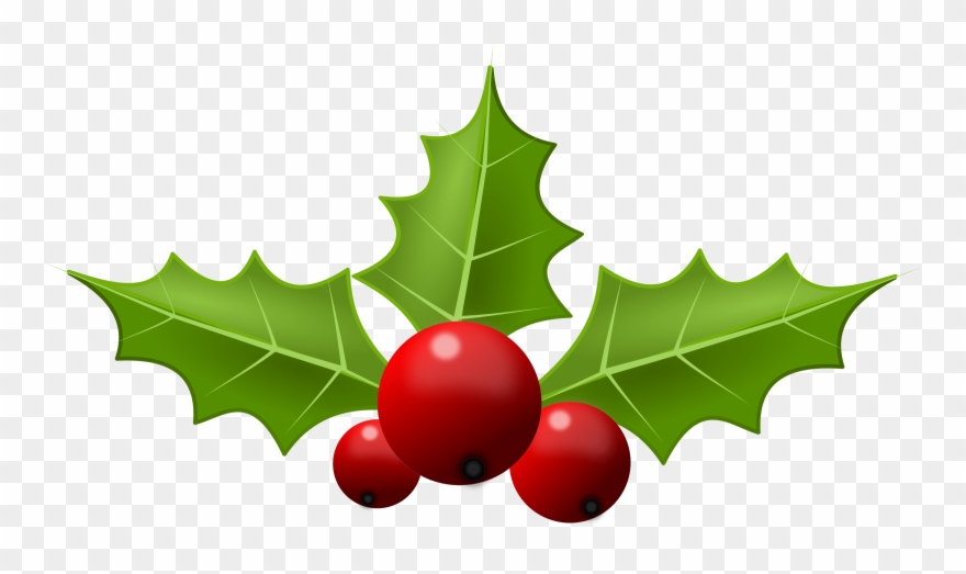 Free holly clipart.