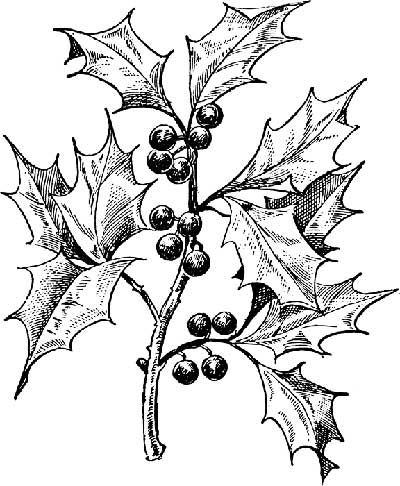christmas cliparts black and white drawing