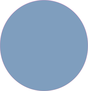 Light blue circle.