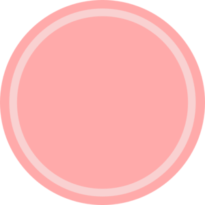 Pink circle clip.