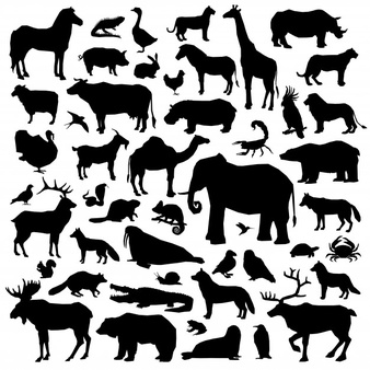 Animal silhouettes vectors.