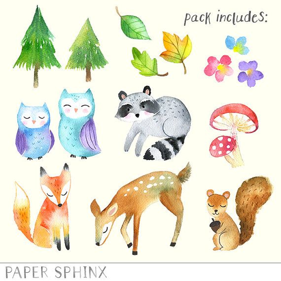 Baby Ilustration Animals forest watercolor forest animal