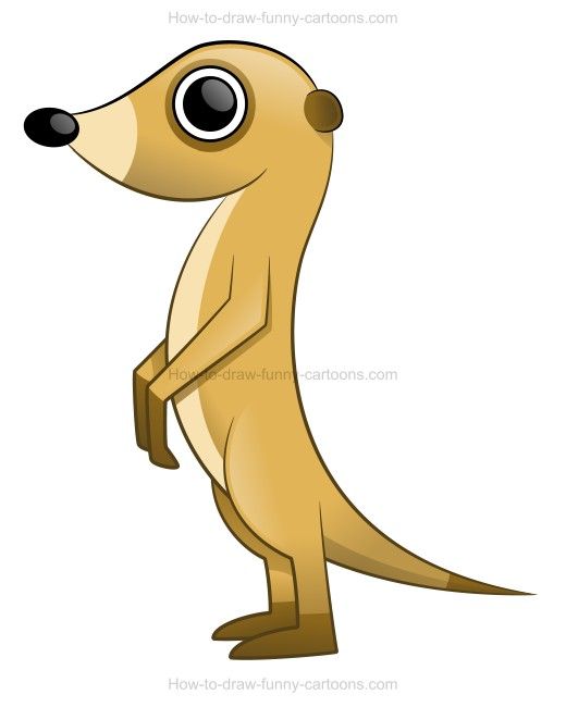 Learn how to draw desert animals using a meerkat as an