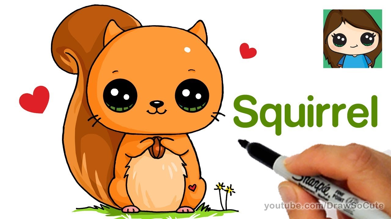 How draw squirrel.