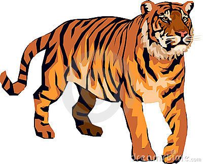 Tiger clip art.