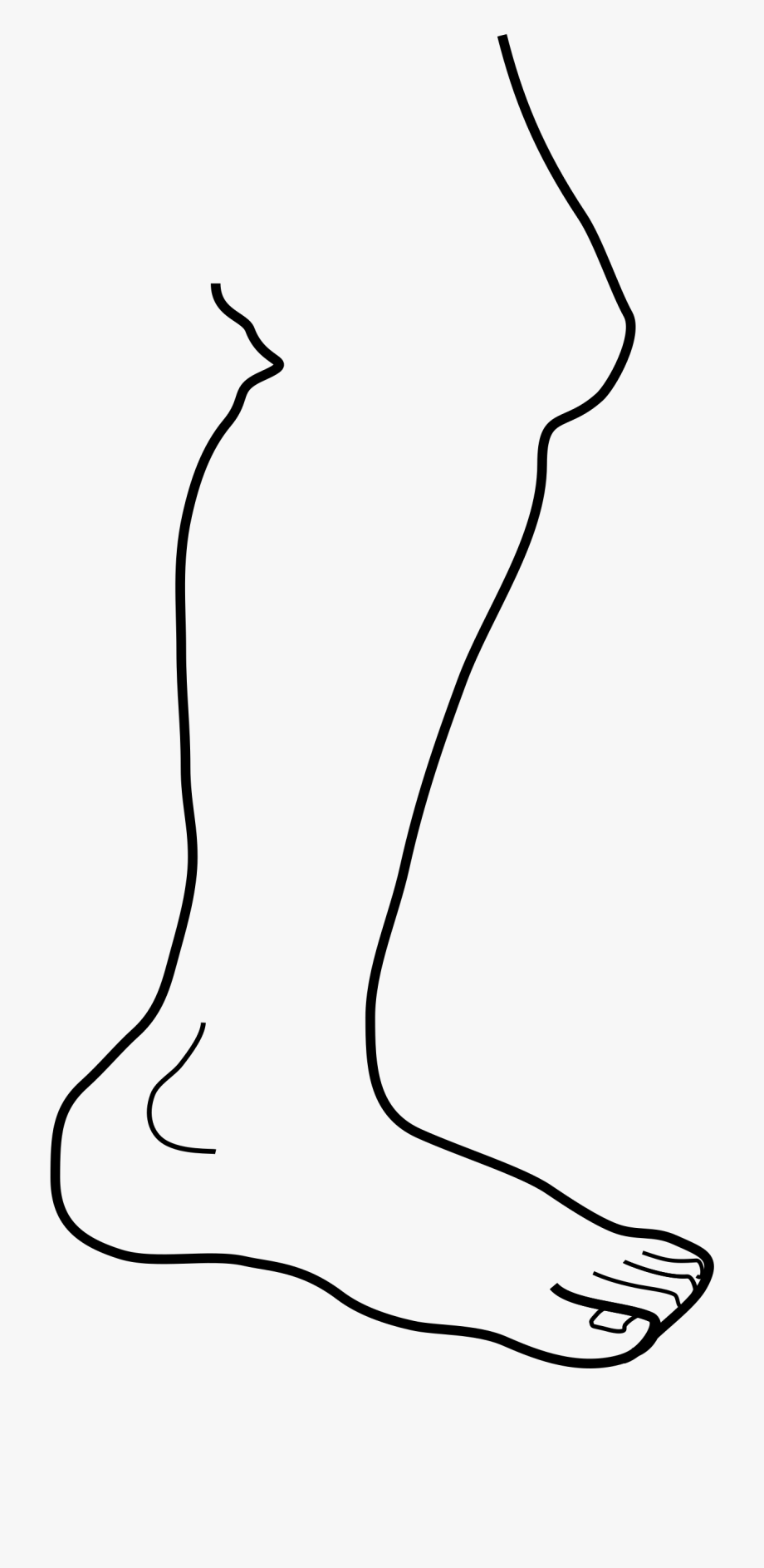 Clipart Of Arm,