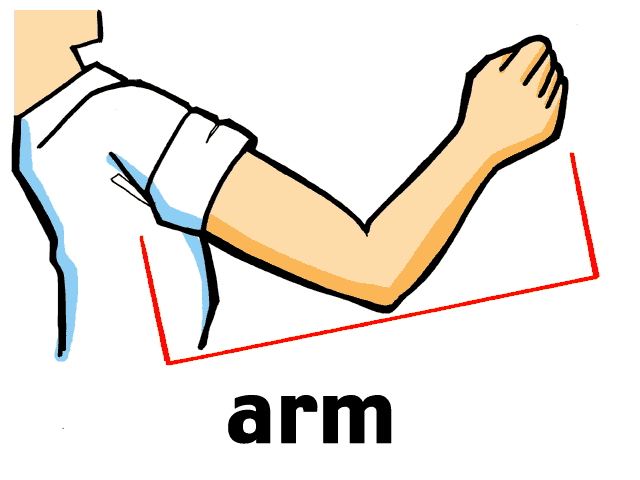 Picture #81295 - Arm clipart body part, Arm body part Transparent FREE for....