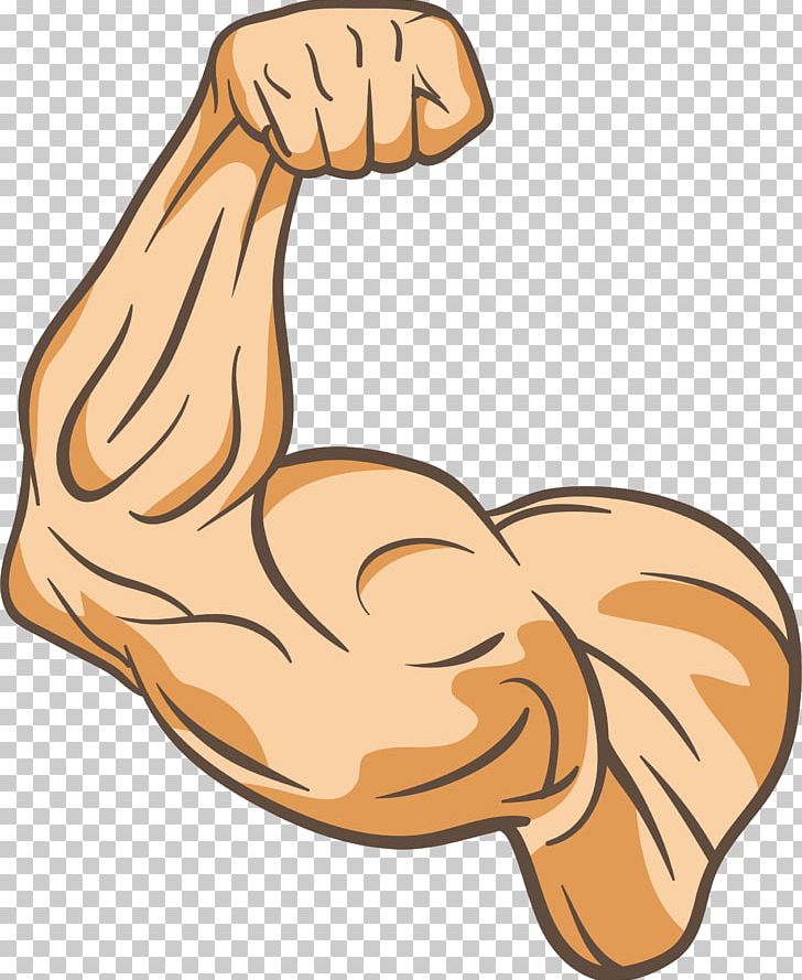 Muscle Physical Fitness Thumb PNG, Clipart, Arm, Armed