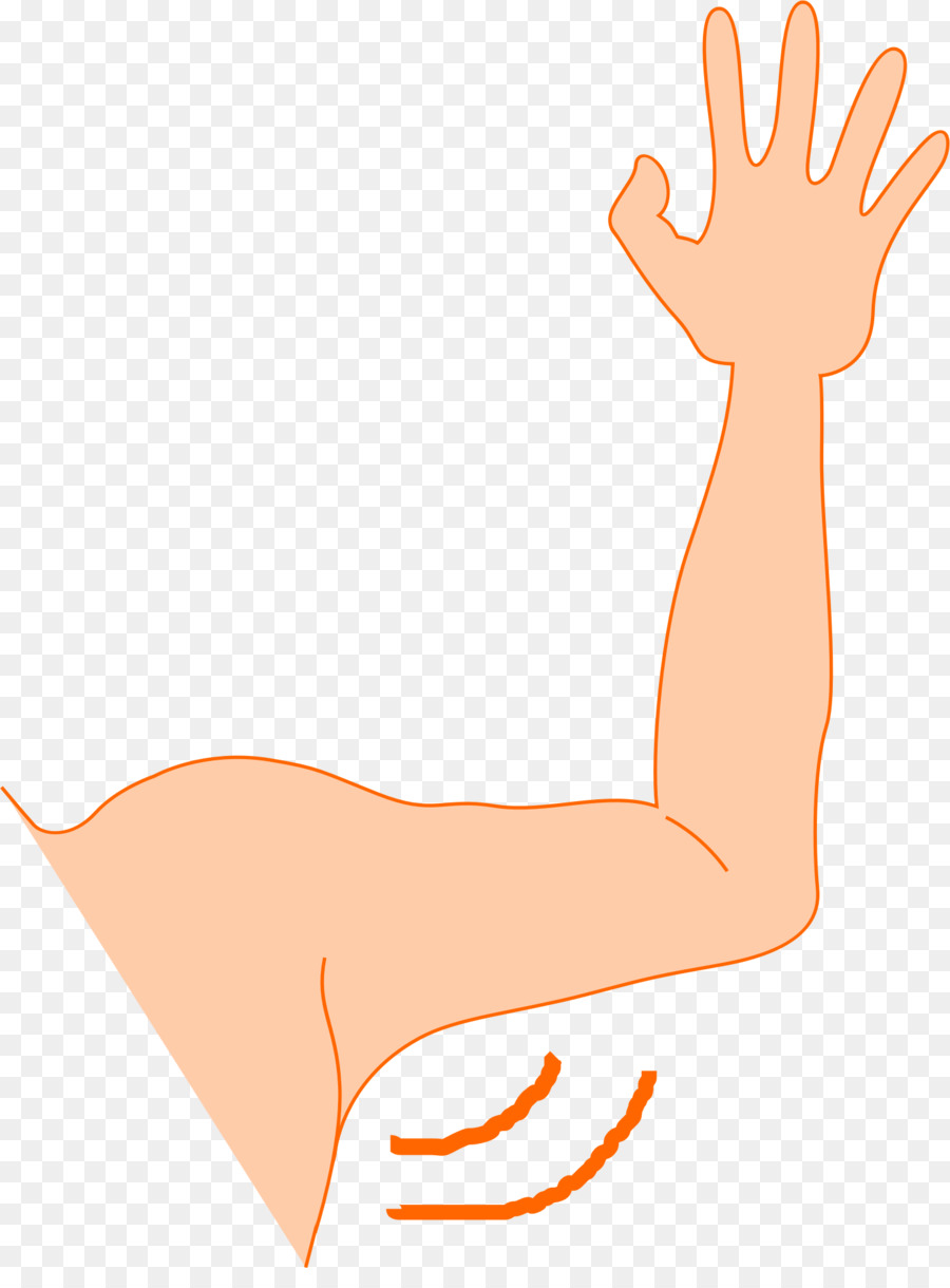 Arm clipart arm leg, Arm arm leg Transparent FREE for