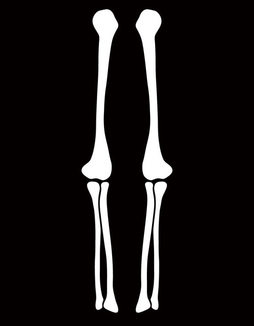 Free Skeleton Arm, Download Free Clip Art, Free Clip Art on