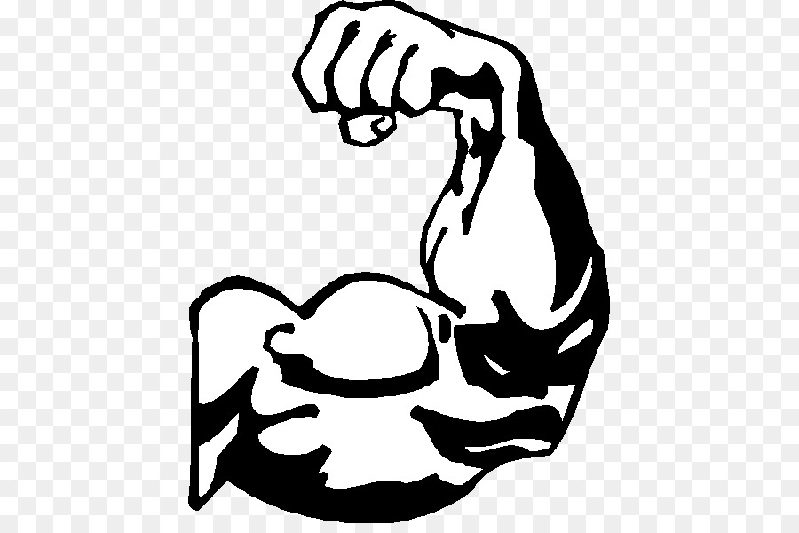 Arm Muscle Biceps Clip Art