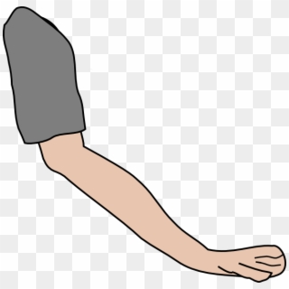 Free arm clipart.