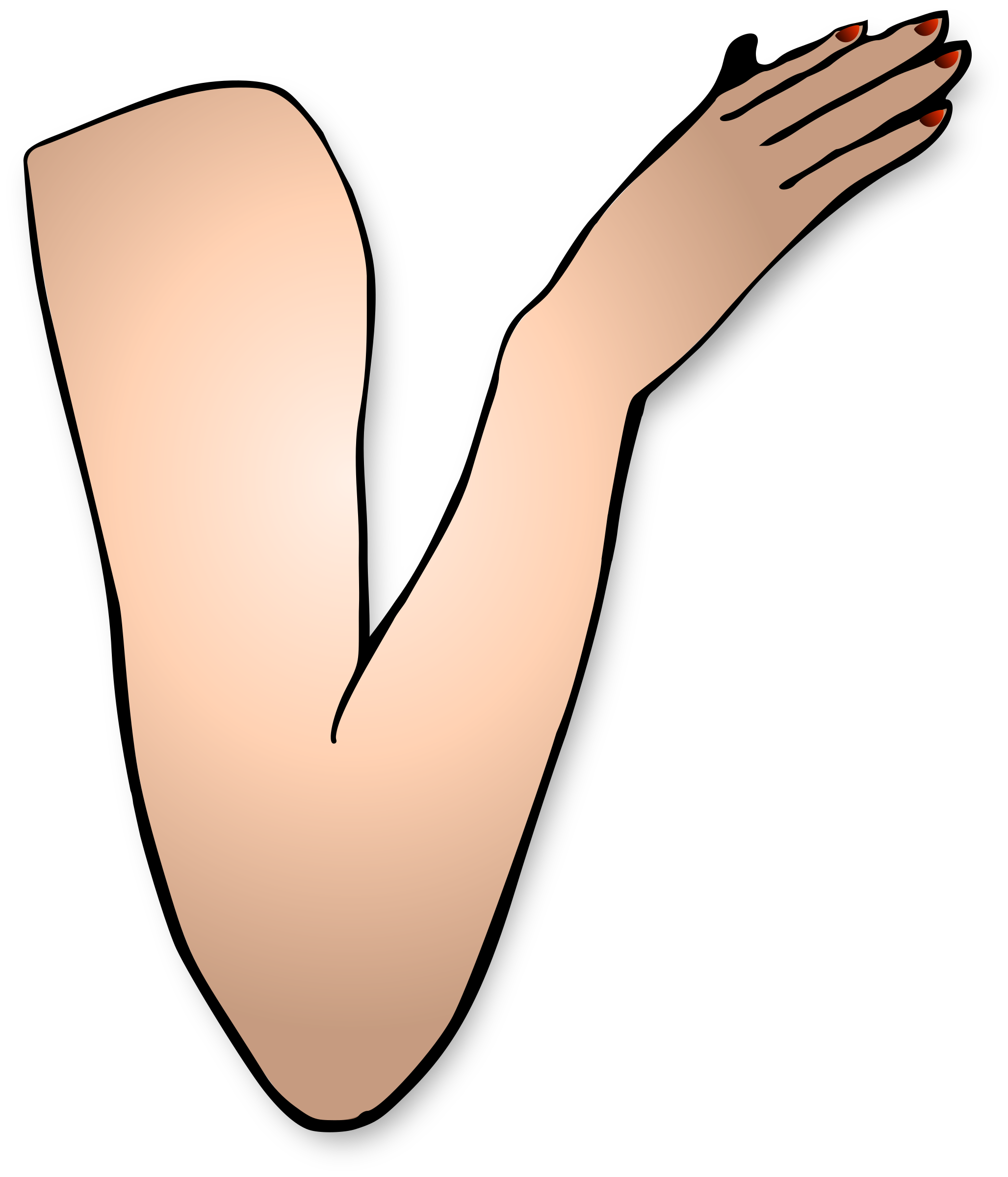 Hand clipart arm, Hand arm Transparent FREE for download on