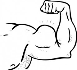 Arms clipart buff, Arms buff Transparent FREE for download