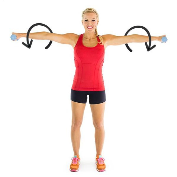 Free Cliparts Arms Fitness, Download Free Clip Art, Free