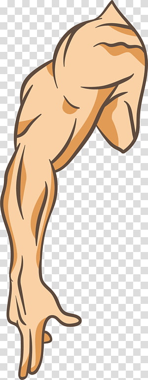 Arms clipart right arm, Arms right arm Transparent FREE for