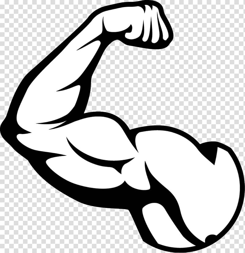 Biceps illustration, Biceps Arm Muscle, muscle transparent