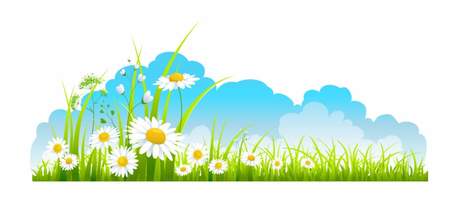 Image Stock Sky And Grass Background Clipart