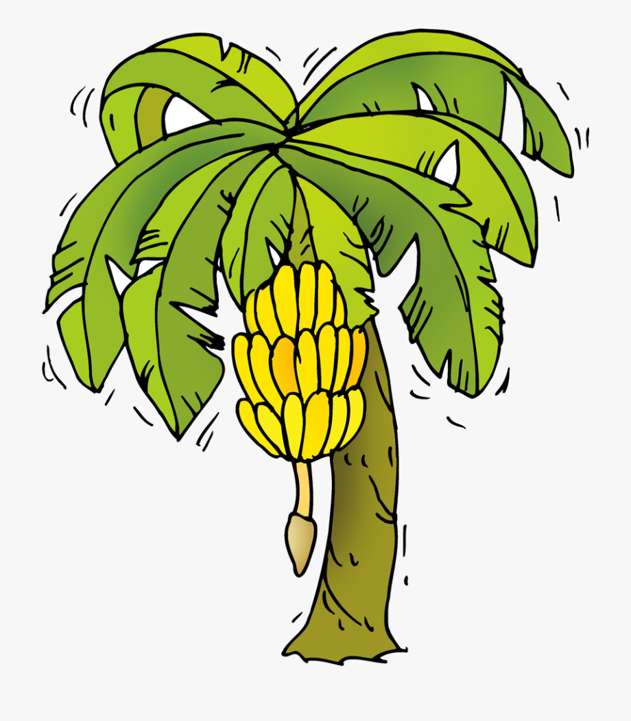 Banana Tree Cartoon Png , Png Download
