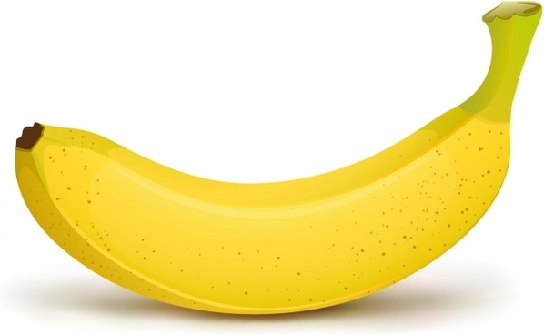Banana free vector download
