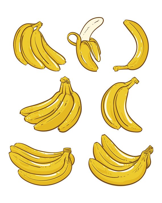 Yellow Bananas vector illustration
