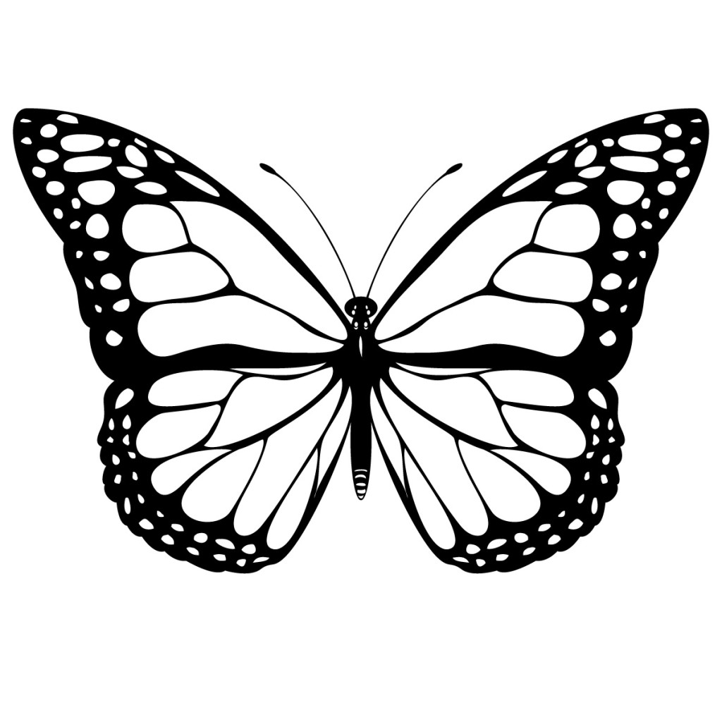 Free butterfly images.