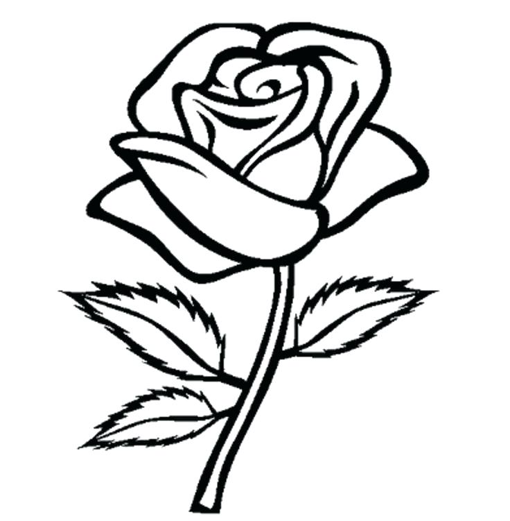 Black And White Rose Drawing Border Step By Clip Art