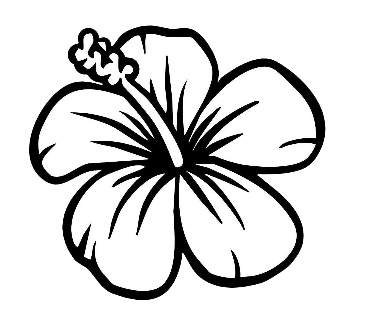 Black and White Flower Clipart