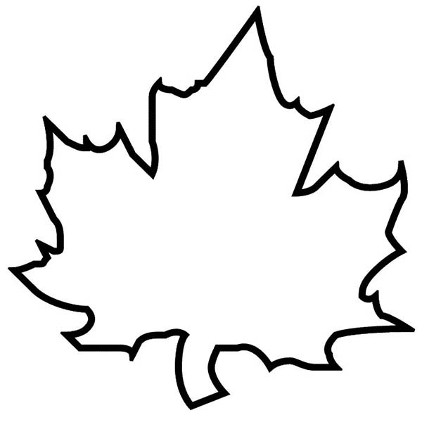 Leaf black and white leaf clipart black and white outline
