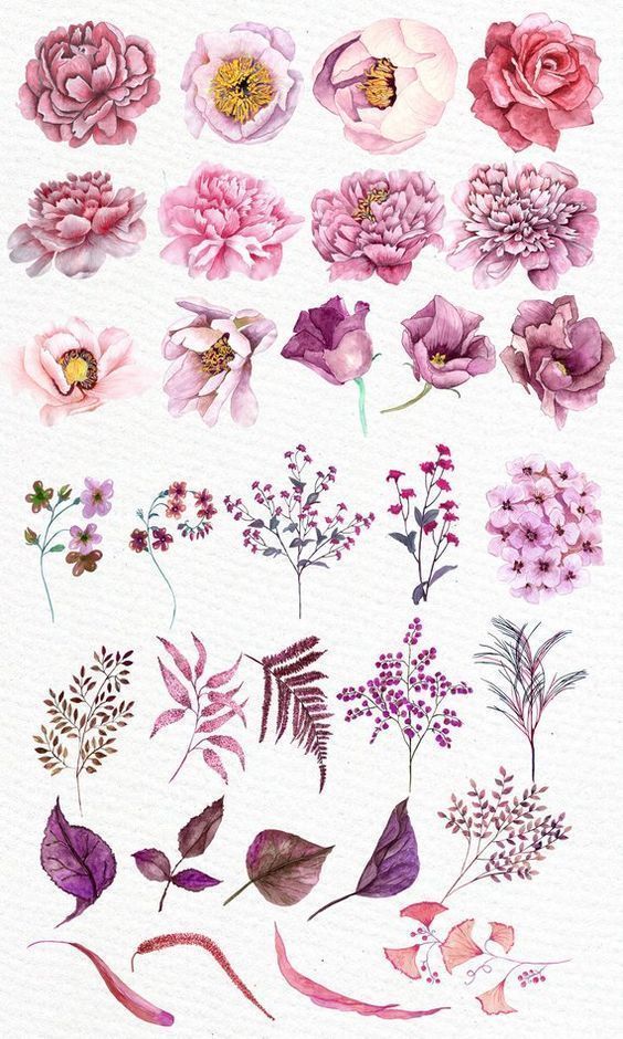 Rosa Blumen Cliparts