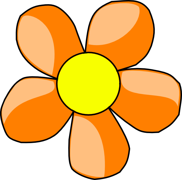 Orange flower clip.