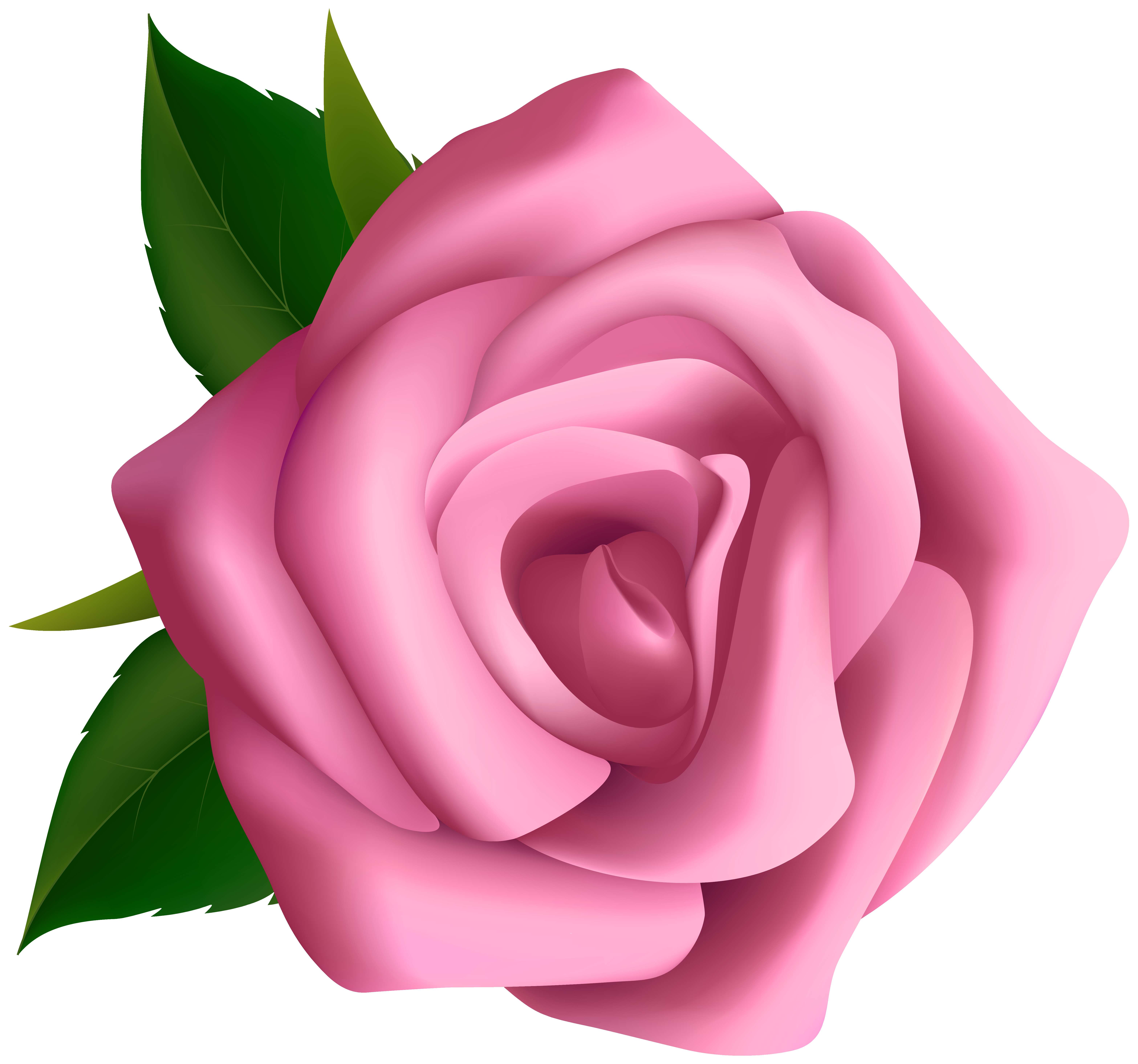 Soft Pink Rose Clipart PNG Image