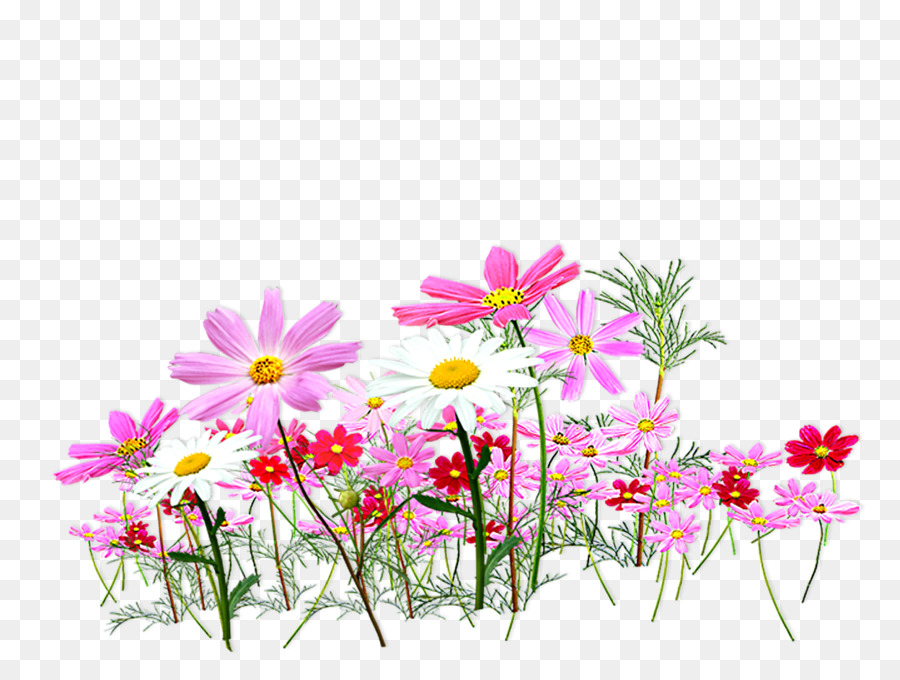 Schnittblumen Farbe Clip art