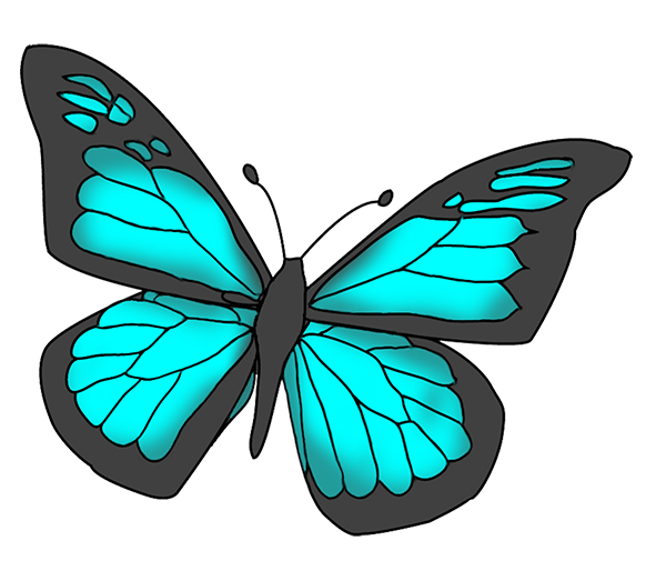 Butterflies blue butterfly.