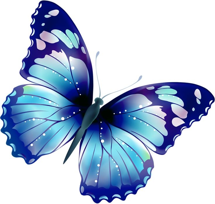 clipart butterflies free blue butterfly