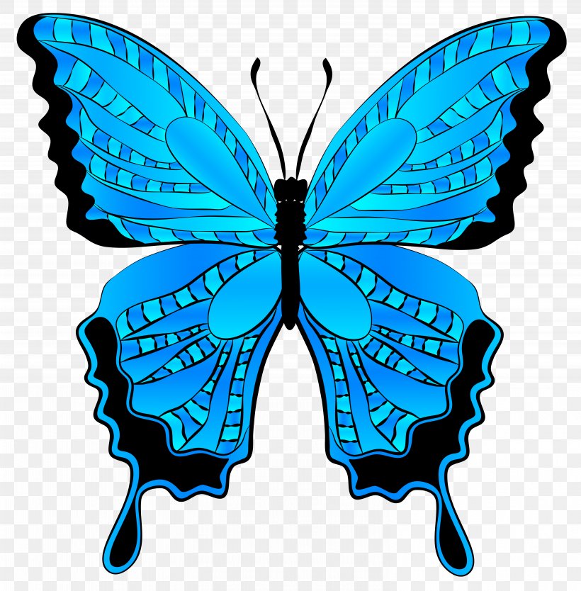 Butterfly Morpho Menelaus Clip Art, PNG,