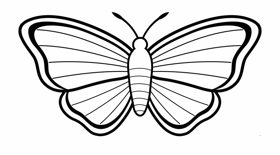 Clipart butterfly outline.