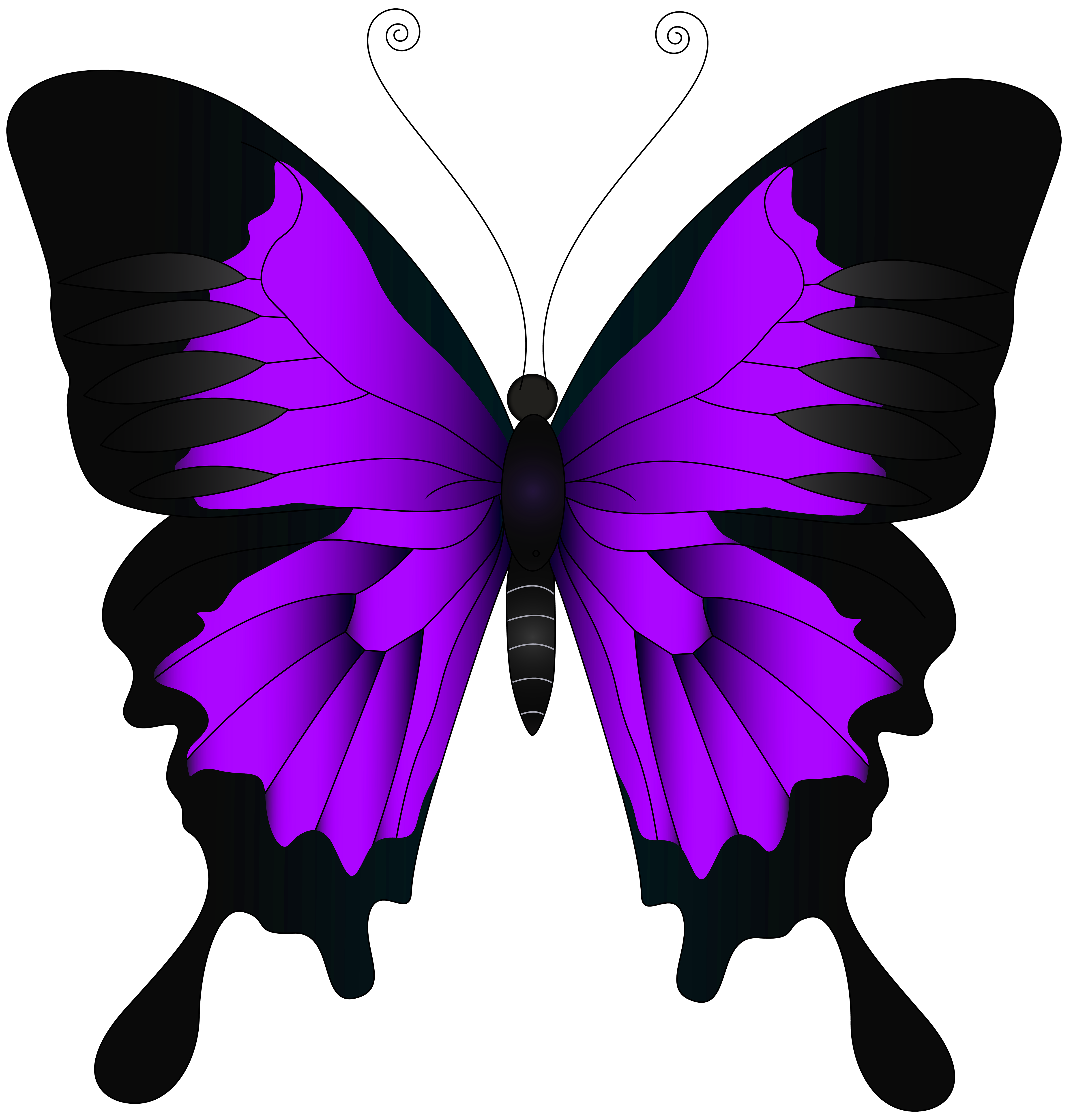 Purple Butterfly PNG Clip Art Image