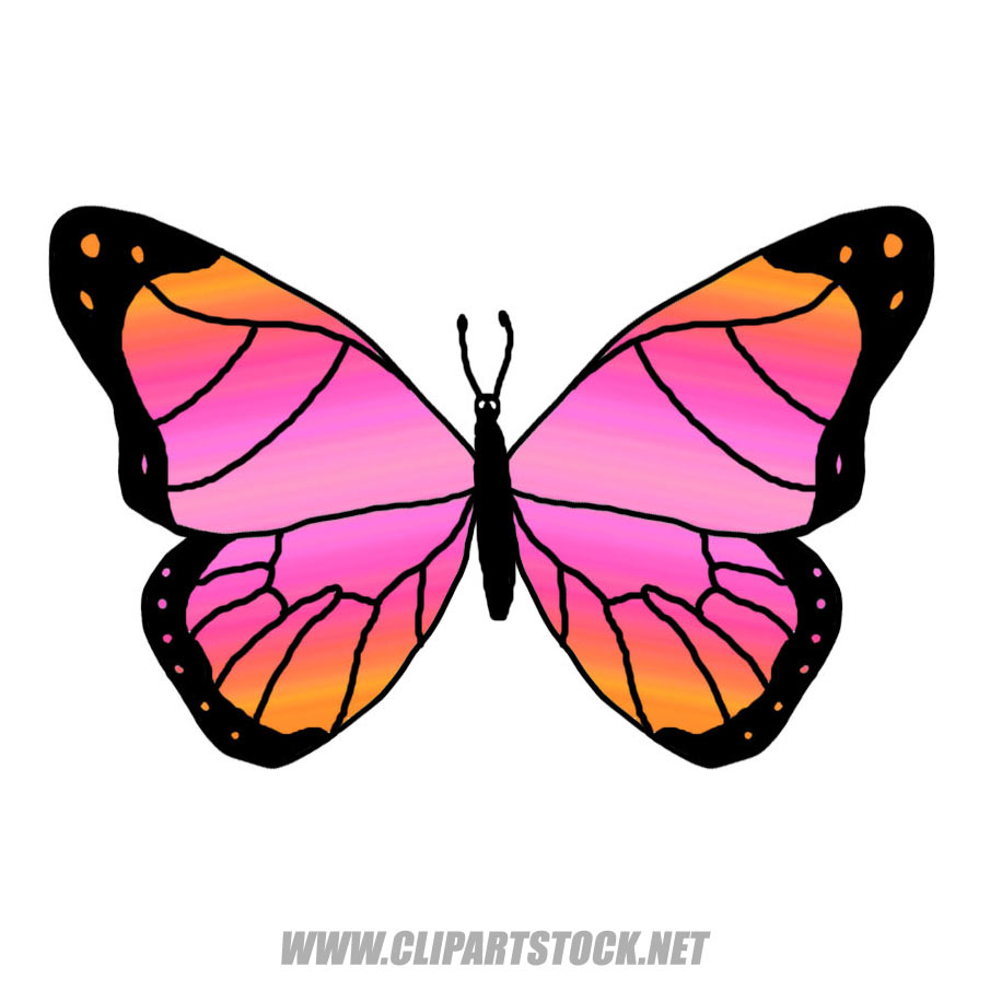 clipart cartoon animals butterfly
