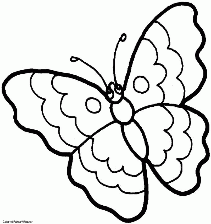 Free butterfly coloring.
