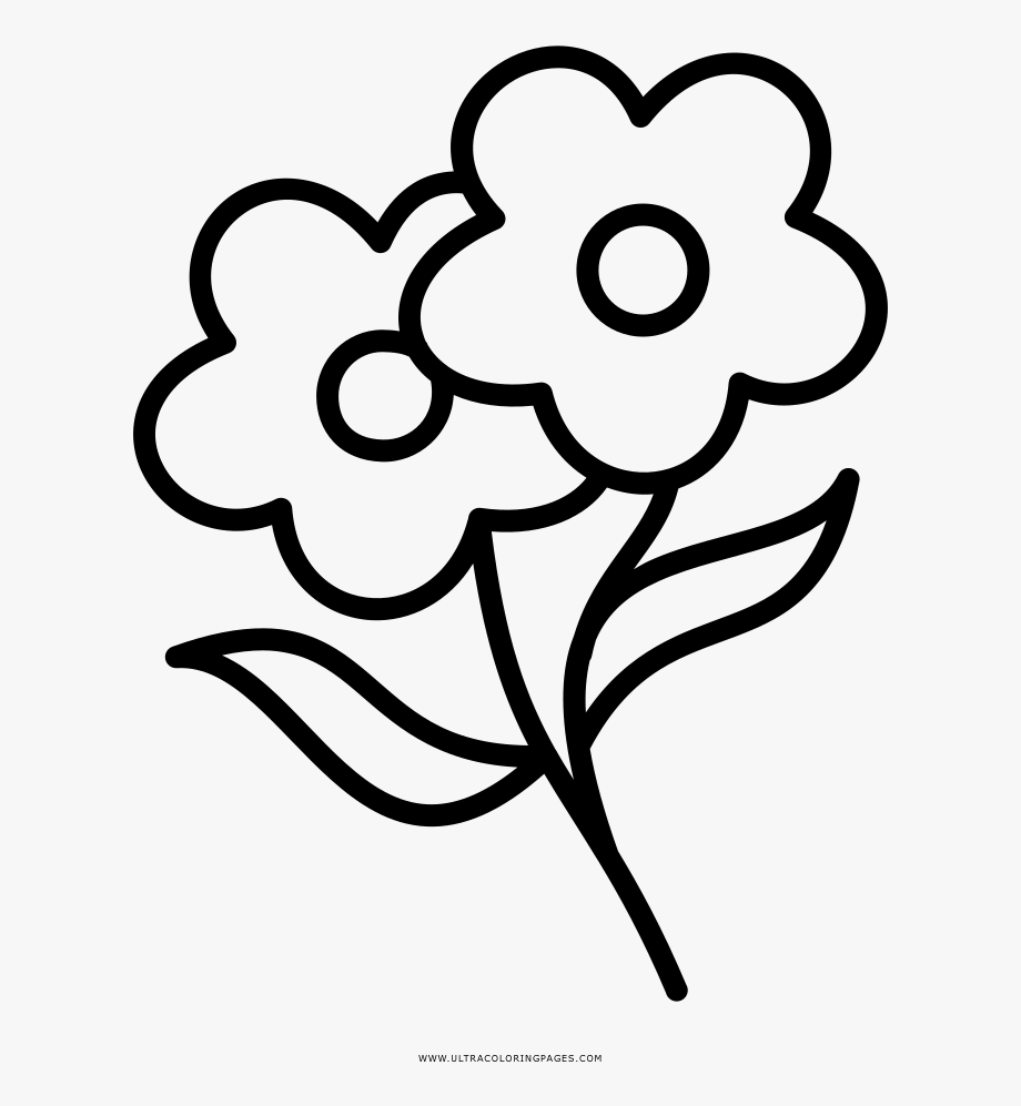 Flowers coloring page.