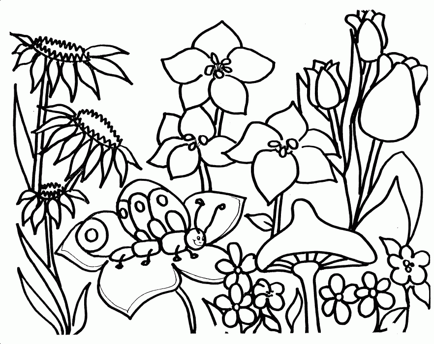 Free Flower Garden Coloring Pages, Download Free Clip Art