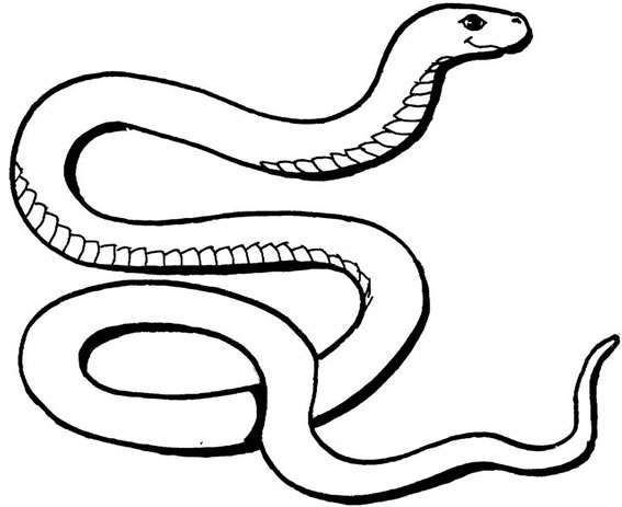 Free Snake Colouring Pages for Kids to Download