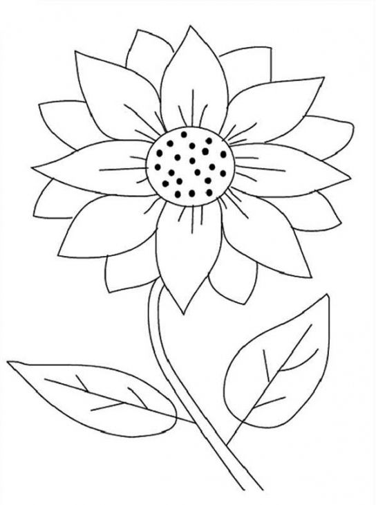 Pin on Fun Coloring Pages