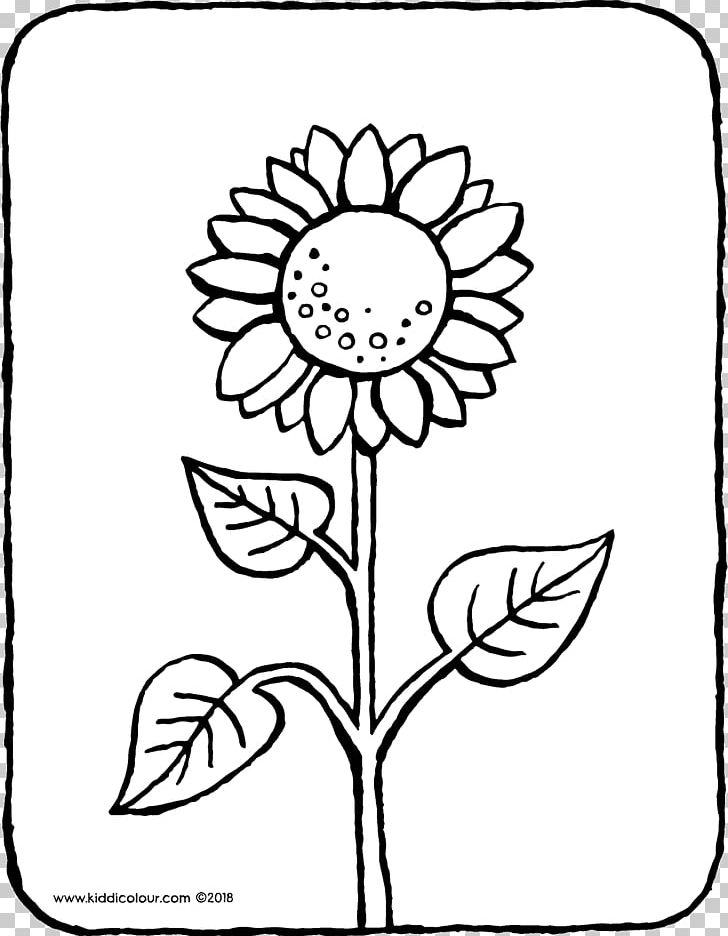 Common Sunflower Coloring Book Colouring Pages Ausmalbild