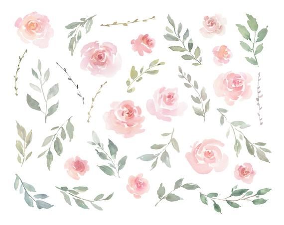 Pink Watercolor Floral Clipart Free Commercial Use Blush